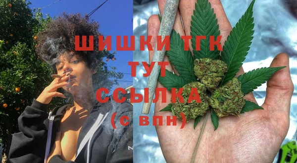 PSILOCYBIN Беломорск
