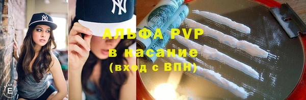 PSILOCYBIN Беломорск
