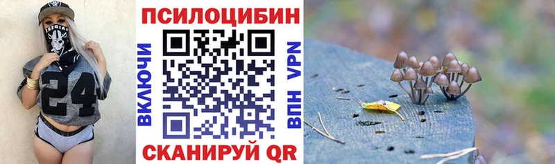 Псилоцибиновые грибы мухоморы  Купить закладки  Куртамыш 